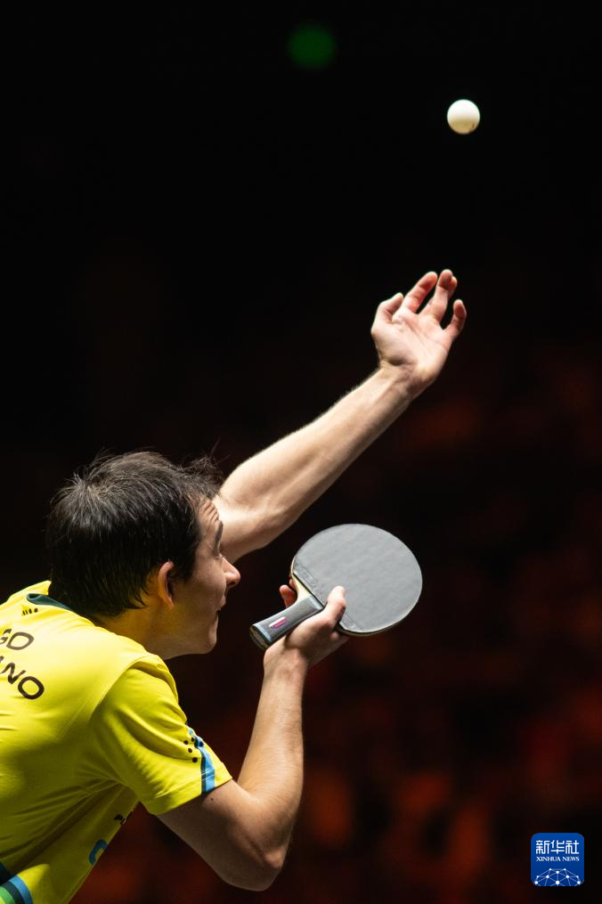 不仅提高了 不仅提高了